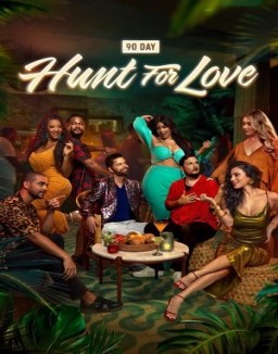 90 Day: Hunt For Love ver series