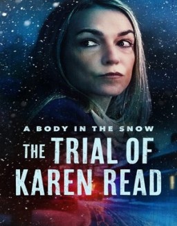 ver A Body in the Snow - The Trial of Karen Read serie online