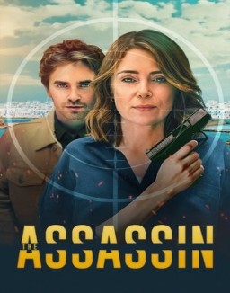 Asesina a sueldo ver series