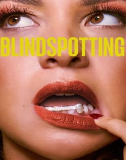 ver Blindspotting serie online