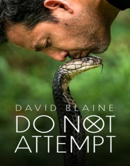 ver David Blaine Do Not Attempt serie online