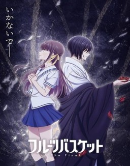 ver Fruits Basket serie online