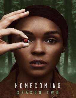 ver Homecoming serie online
