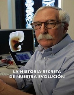 ver La historia secreta de nuestra evolucion serie online