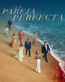 ver La pareja perfecta serie online