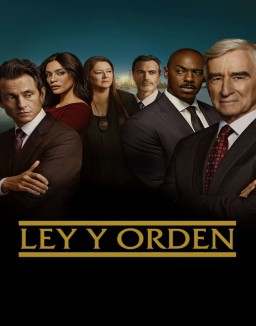 ver Ley y orden (1990) (Law & Order) serie online