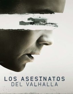 ver Los asesinatos del Valhalla serie online