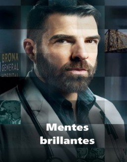 ver Mentes brillantes temporada 1 online