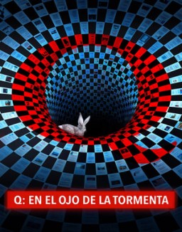ver Q, en el ojo de la tormenta serie online