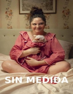 Sin medida ver series