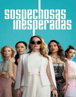 ver Sospechosas inesperadas serie online