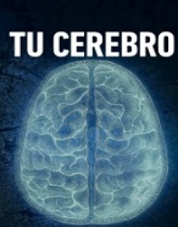 ver Tu Cerebro (2024) serie online