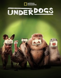 Underdogs ver series